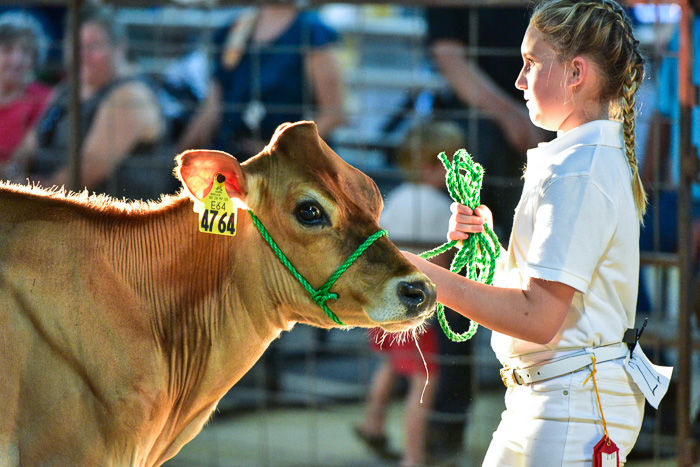 Orangeburg County Fair Dairy Show